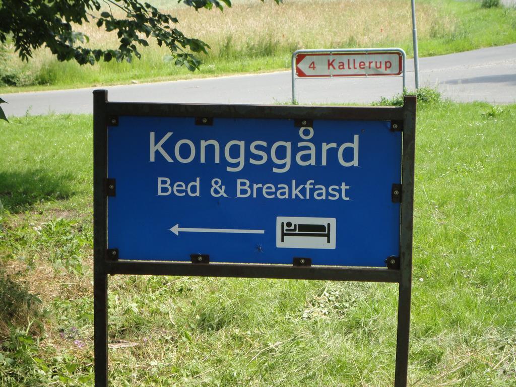 Kongsgard Bed & Breakfast Kalundborg Extérieur photo